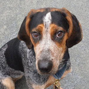 Meet your Posher, Nancy